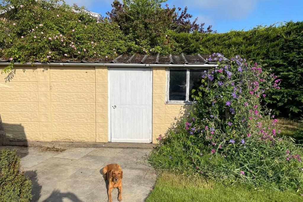 3 Bed Bungalow In Winchcombe, Cotswolds,Gloucester エクステリア 写真